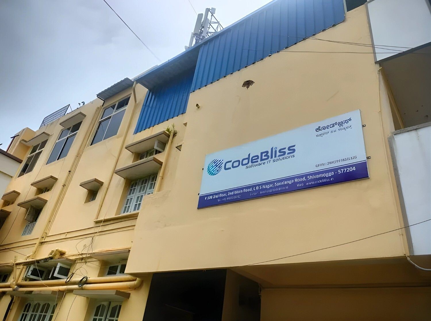 Codebliss software it solution  gallery